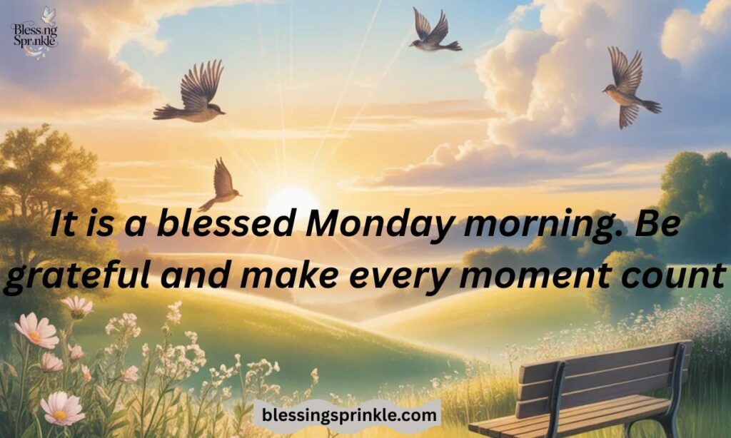 Good Morning Blessed Monday​
