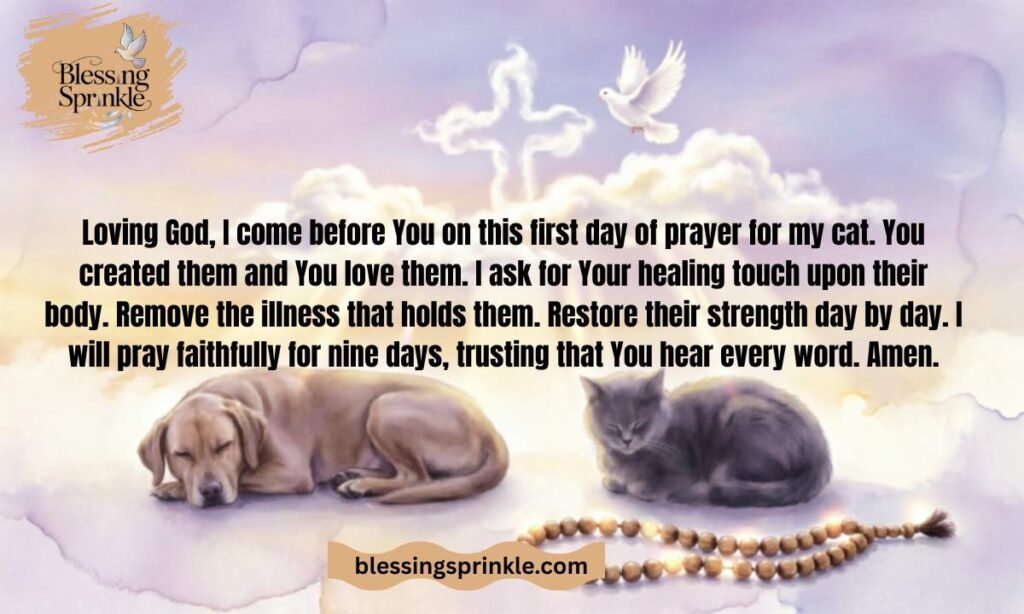 Catholic Novena Prayer for a Sick Cat