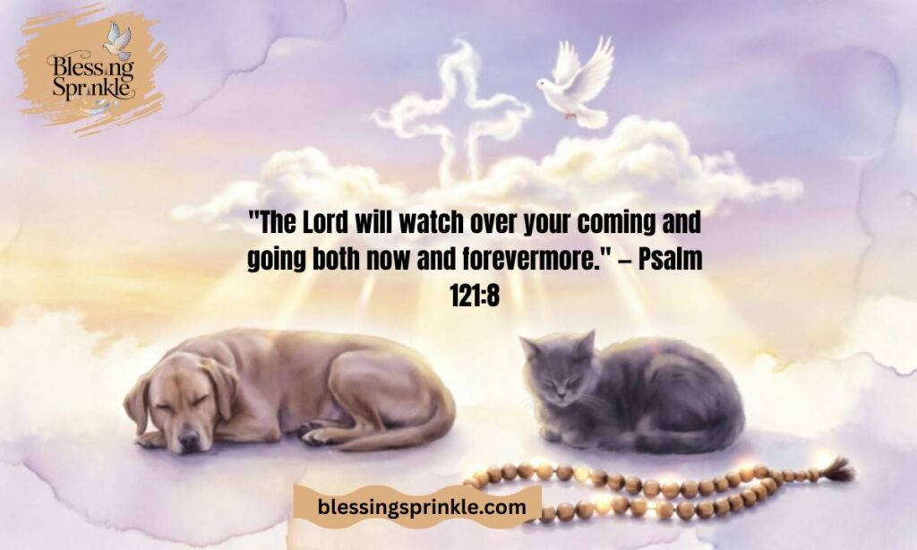Catholic Prayer for Sick Pet Protection