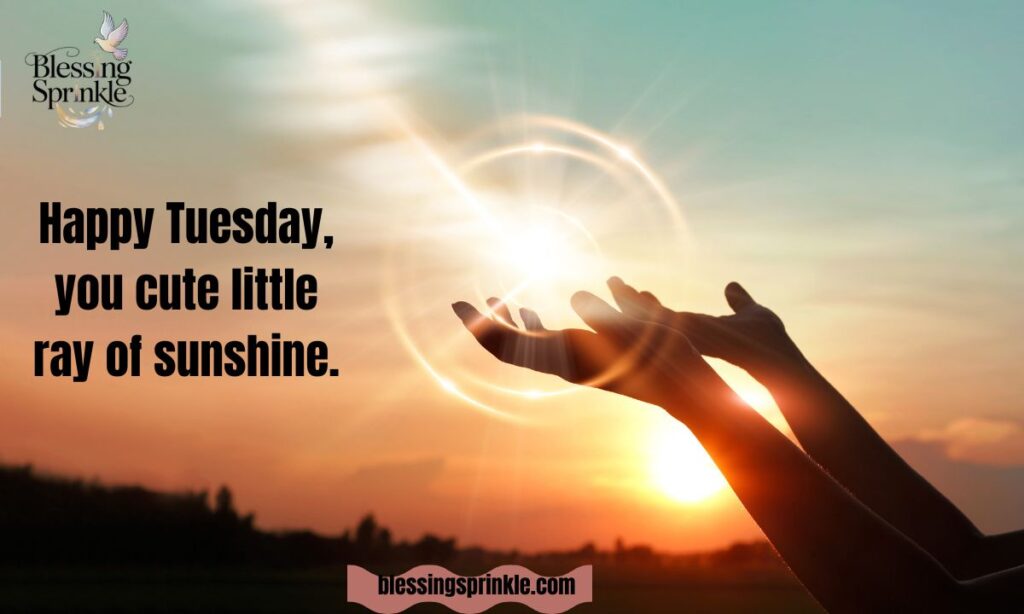 Cute Tuesday blessings