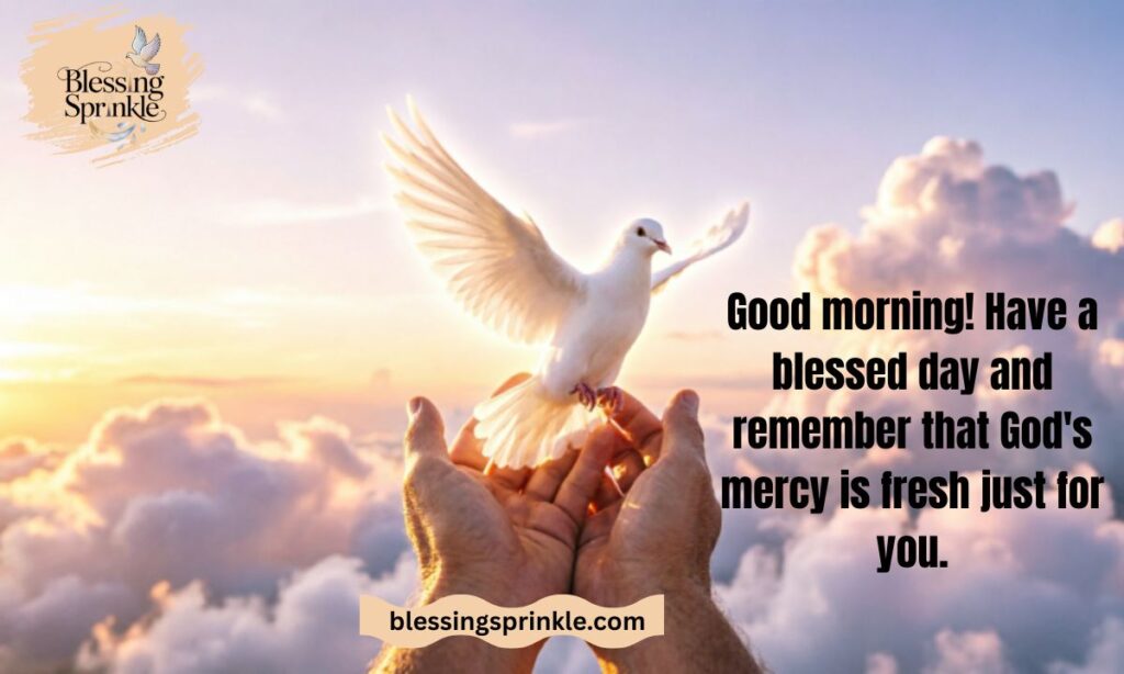 Good Morning and Have a Blessed Day