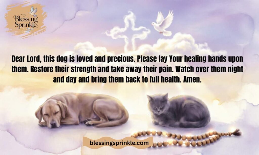 Healing Prayer for Sick Dog Images