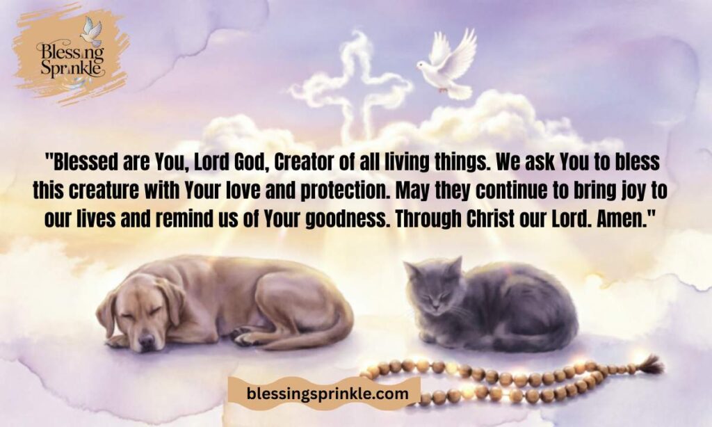 Popular Catholic Prayers for Sick Pets