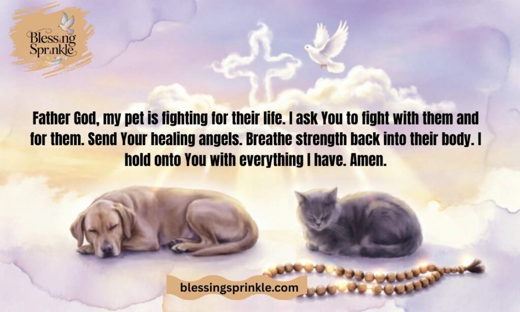 Prayer for a Very Sick Pet