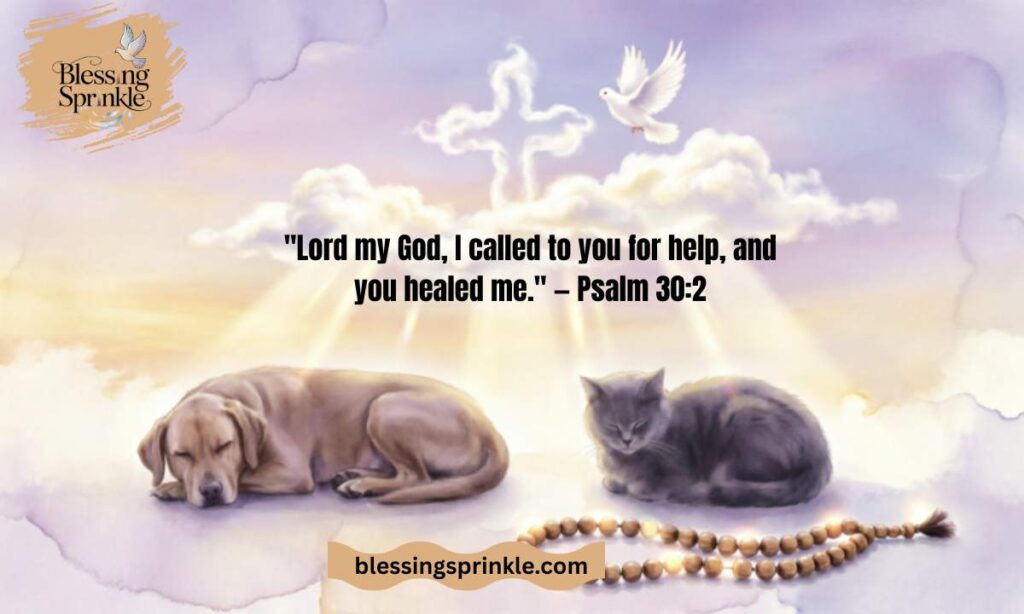 Prayer for the Healing of a Sick Pet