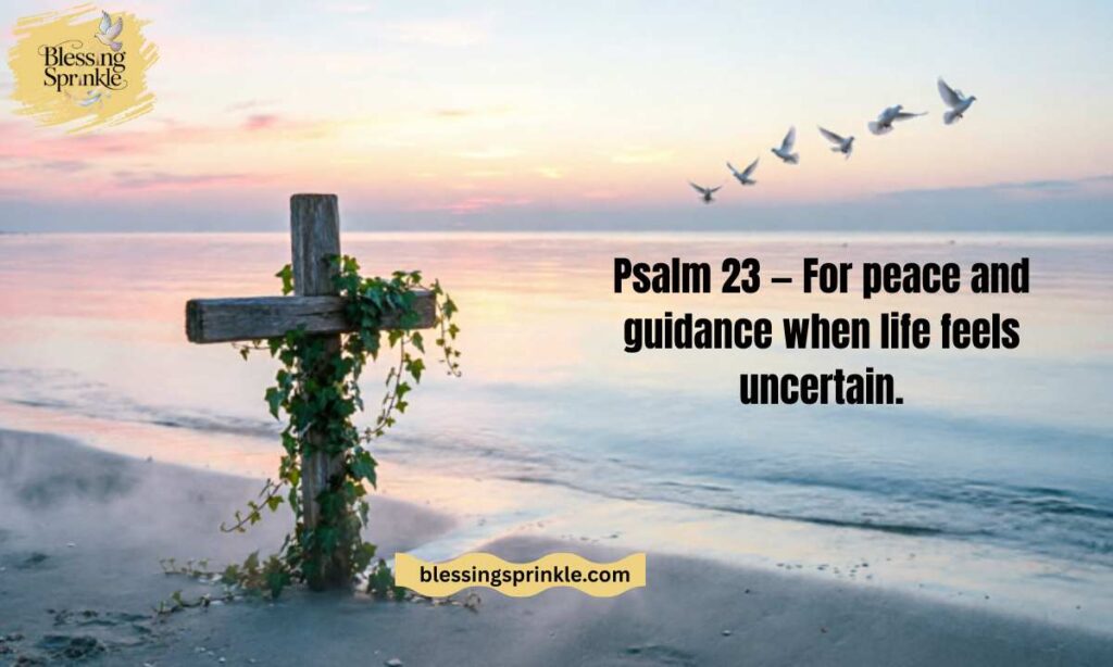 Psalms to Pray When You Feel Spiritually Dry