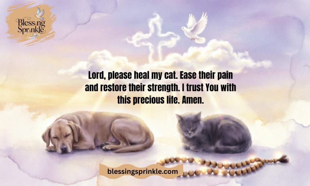 Short Catholic Prayer for a Sick Cat