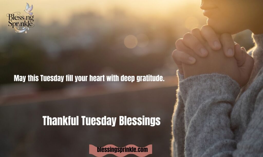 Thankful Tuesday Blessings