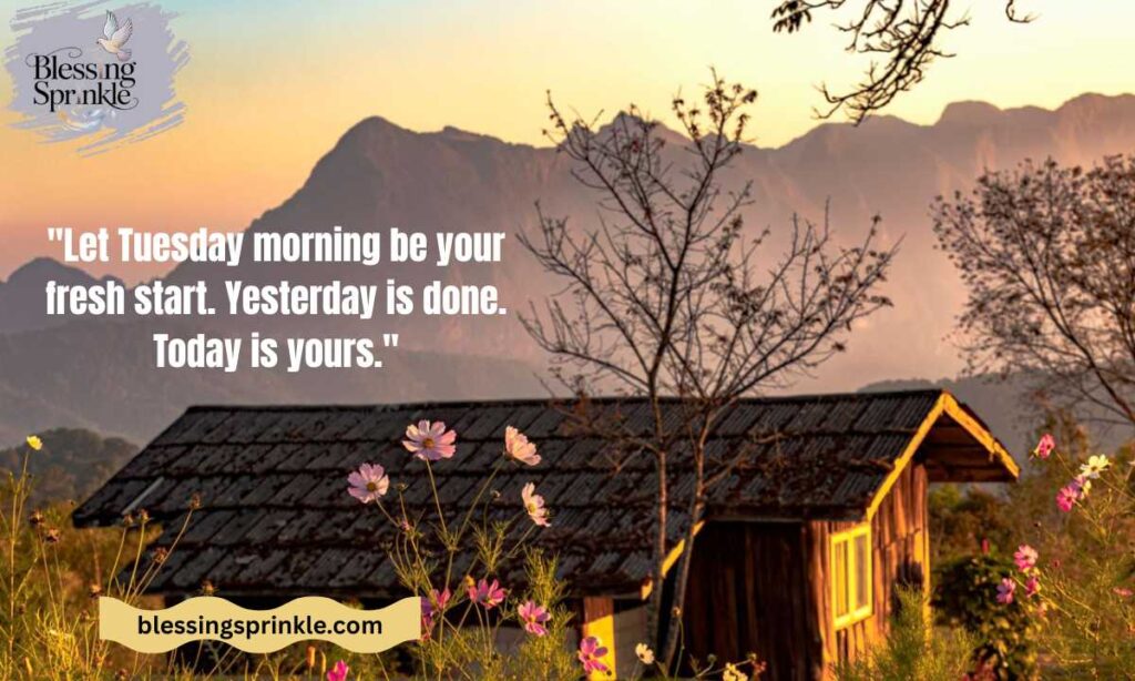 Blessed Tuesday Morning Quotes
