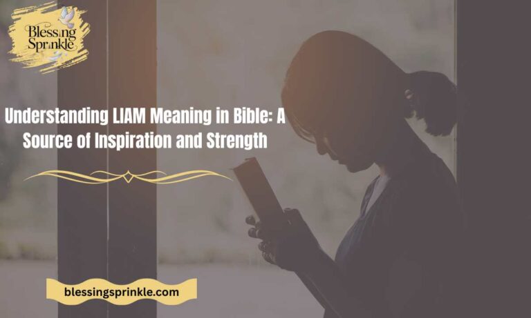 LIAM Meaning in Bible