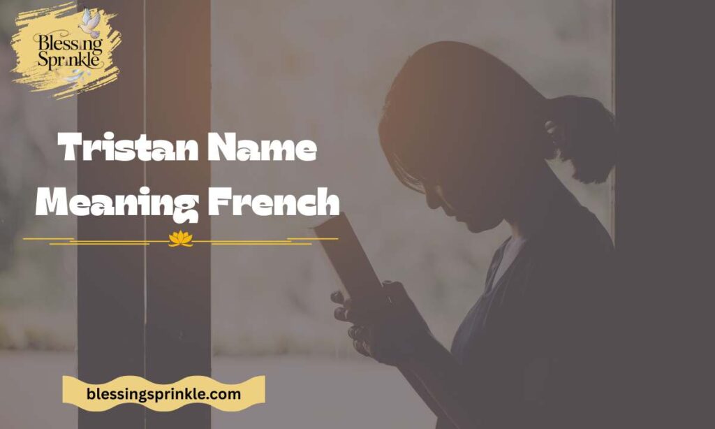 Tristan Name Meaning French
