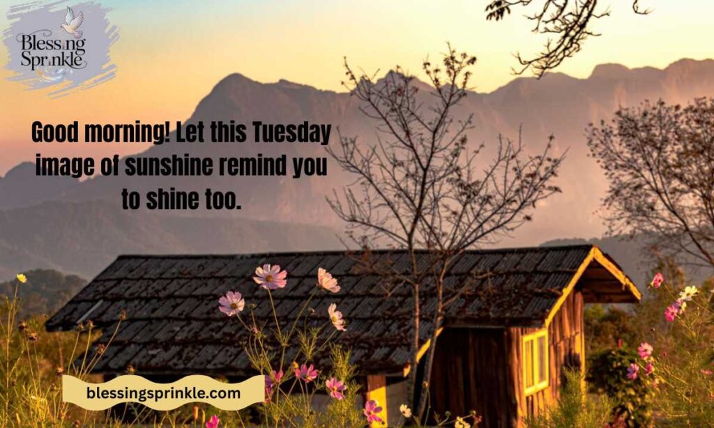 Tuesday Morning Blessings Images